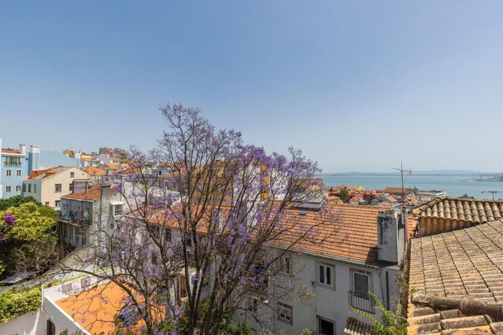 Joao Da Mata Amazing Views By Innkeeper Lissabon Buitenkant foto
